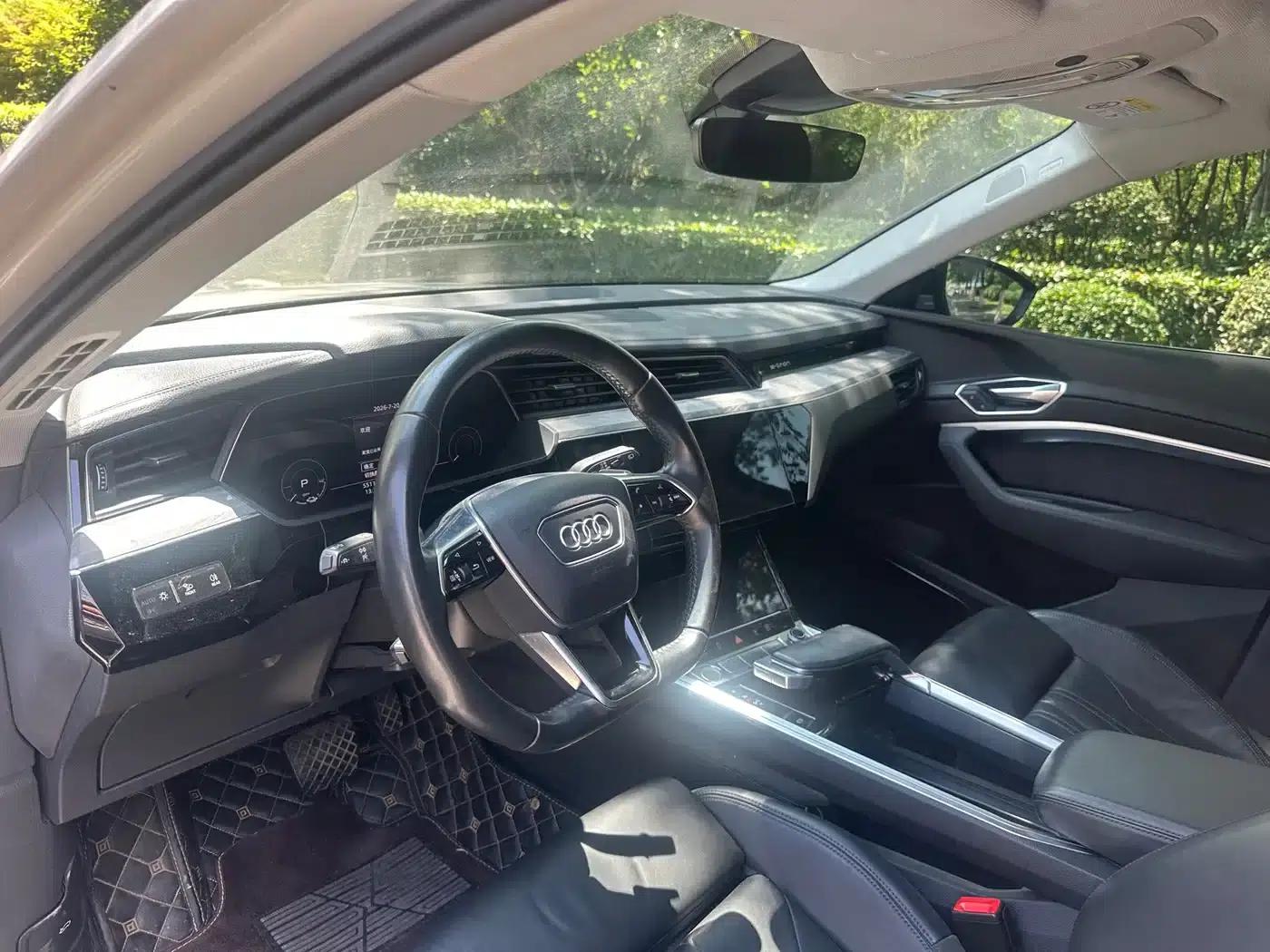 Audi e-tron (Imported) 2019 55 quattro Exclusive Edition — миниатюра 9