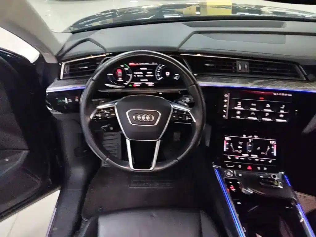 2019 Audi e-tron Imported Model 55 quattro Fashion Edition — миниатюра 11