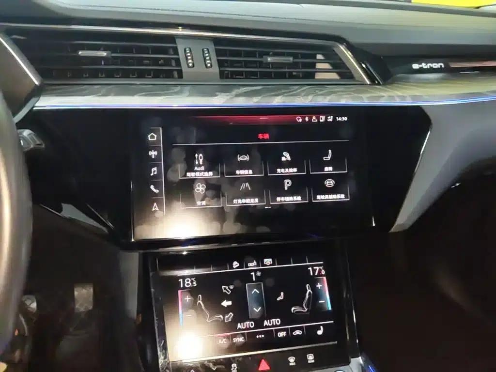 2019 Audi e-tron Imported Model 55 quattro Fashion Edition — миниатюра 13