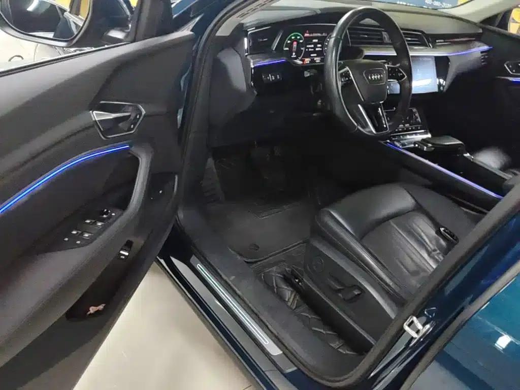 2019 Audi e-tron Imported Model 55 quattro Fashion Edition — миниатюра 16