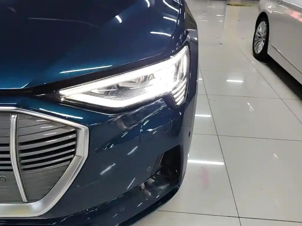 2019 Audi e-tron Imported Model 55 quattro Fashion Edition — миниатюра 24