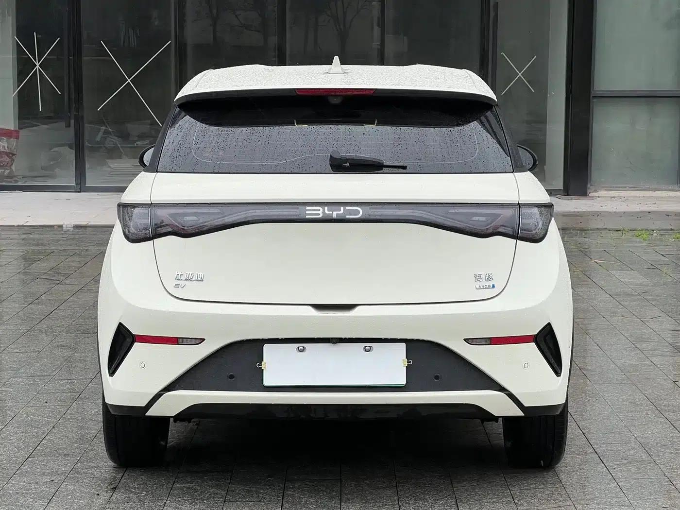 Dolphin 2025 Smart Driving Edition 420km Freedom Edition — миниатюра 3