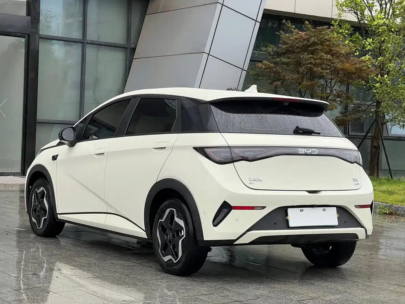 Dolphin 2025 Smart Driving Edition 420km Freedom Edition — миниатюра 4