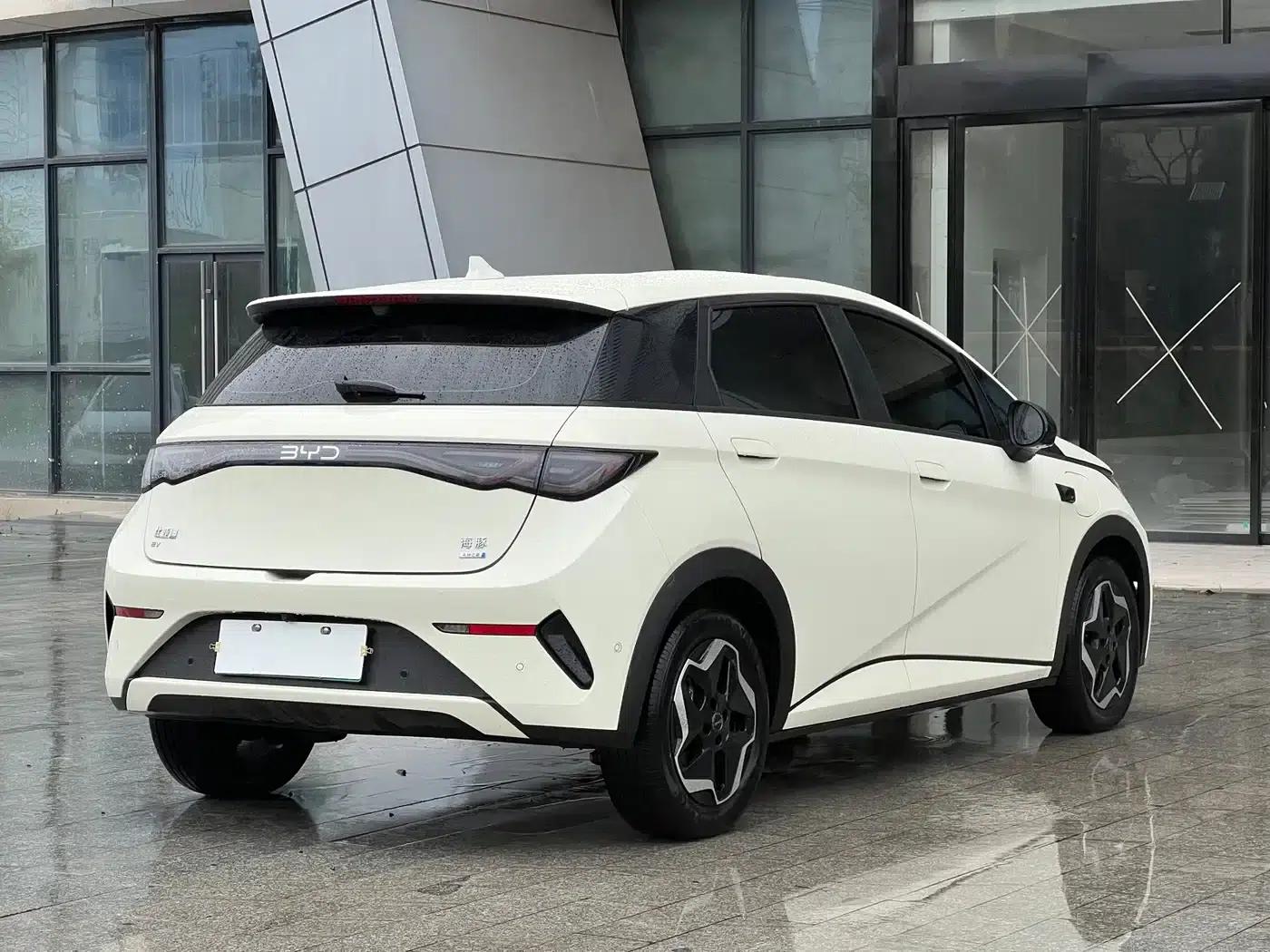 Dolphin 2025 Smart Driving Edition 420km Freedom Edition — миниатюра 5