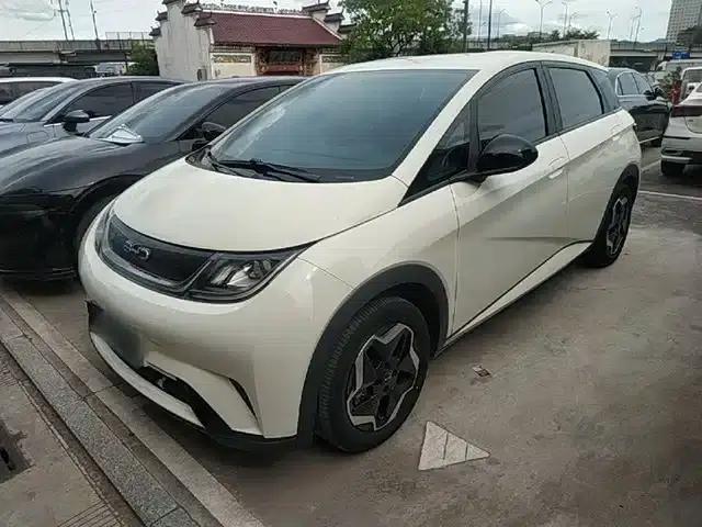 Dolphin 2025 420km Vitality Edition
