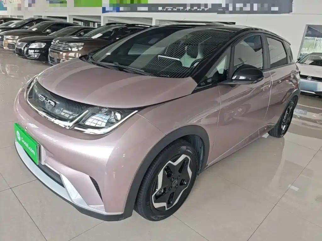 Dolphin 2021 405km Freedom Edition — миниатюра 1