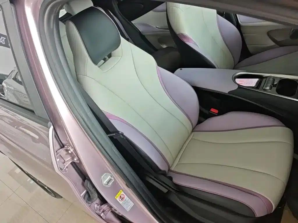 Dolphin 2021 405km Freedom Edition — миниатюра 25