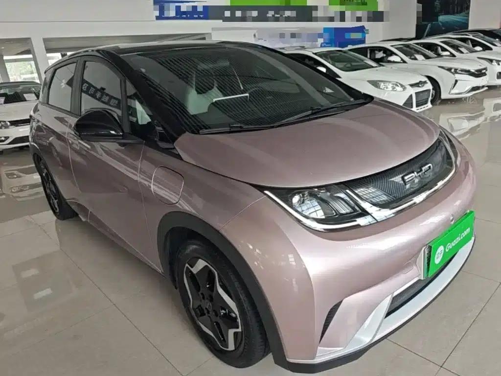 Dolphin 2021 405km Freedom Edition — миниатюра 4