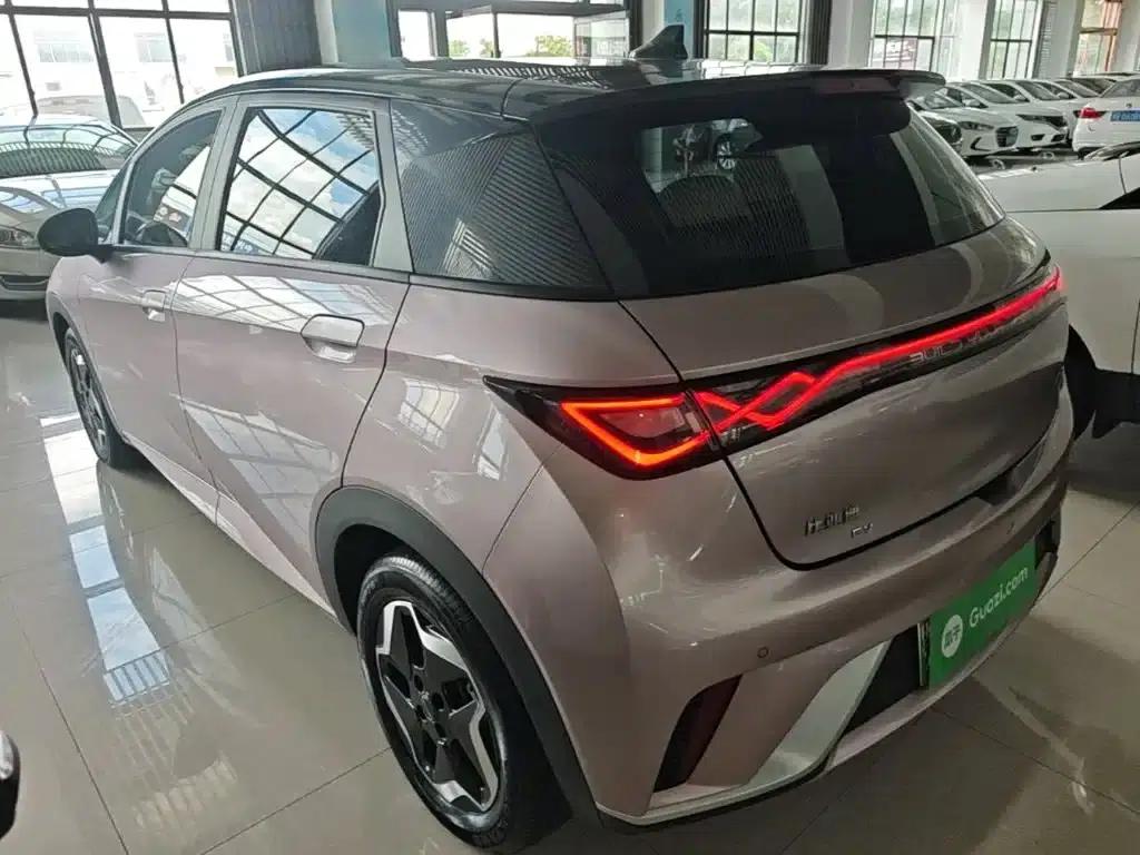 Dolphin 2021 405km Freedom Edition — миниатюра 5