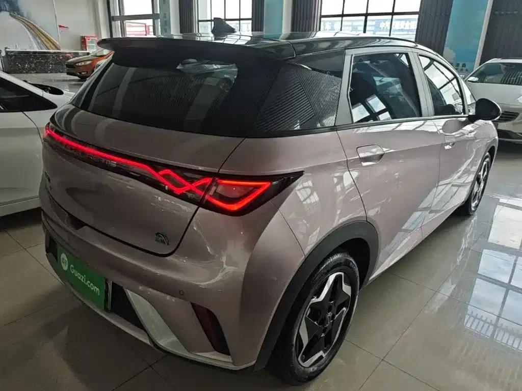 Dolphin 2021 405km Freedom Edition — миниатюра 7