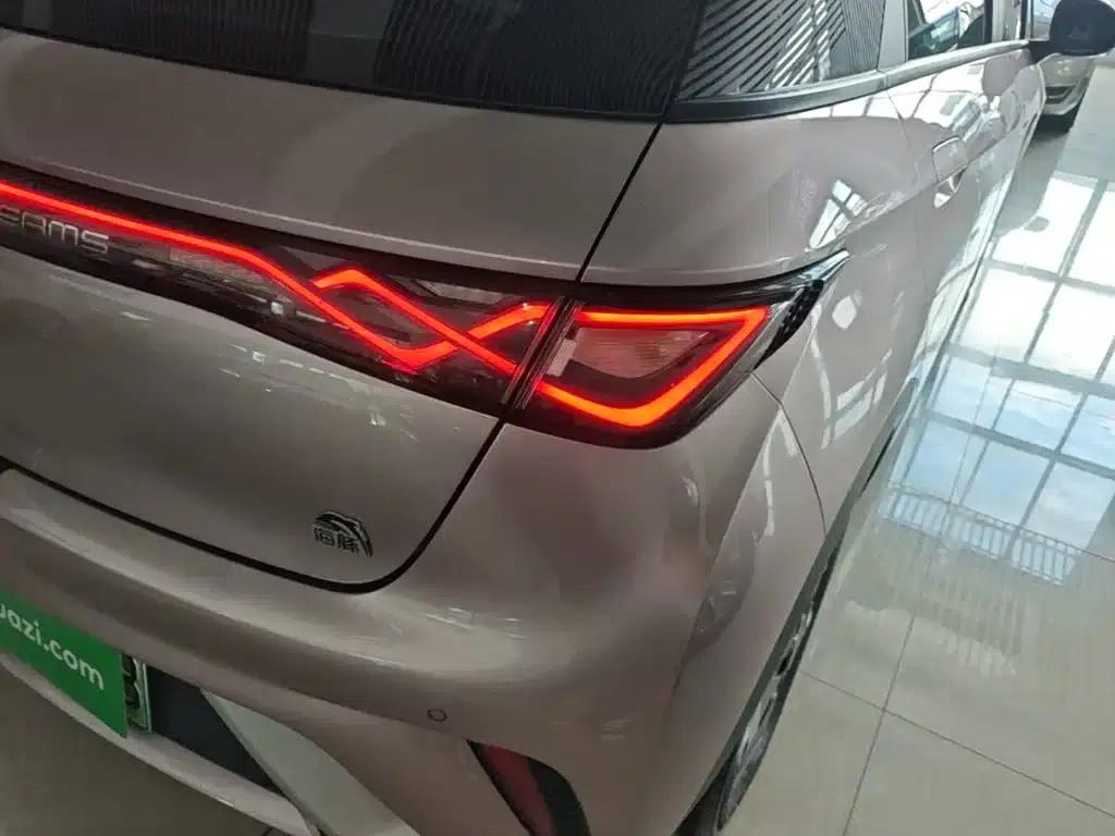 Dolphin 2021 405km Freedom Edition — миниатюра 8