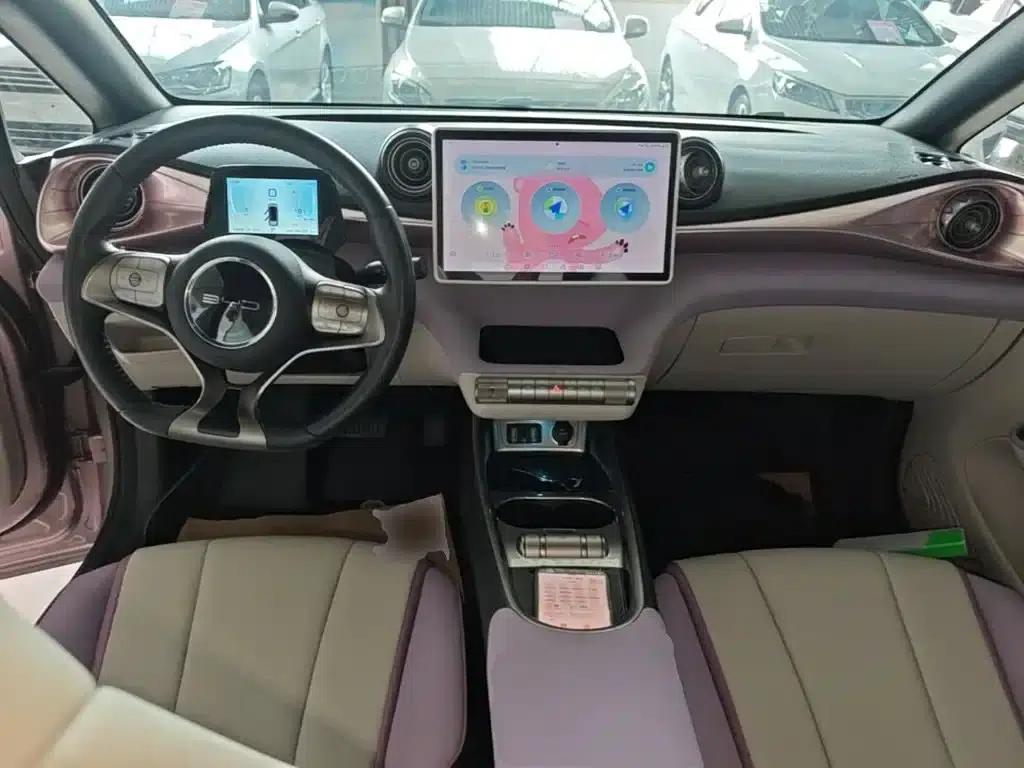 Dolphin 2021 405km Freedom Edition — миниатюра 10