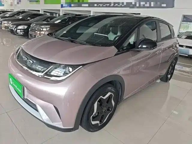 Dolphin 2021 405km Freedom Edition