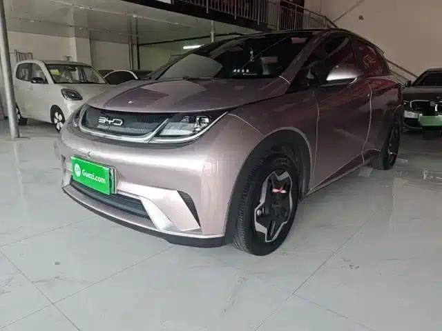 Dolphin 2021 405km Fashion Edition