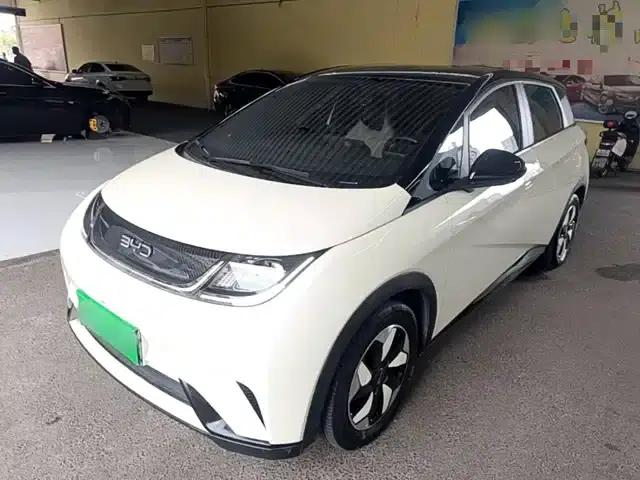 Dolphin 2024 Glory Edition 420km Freedom Edition