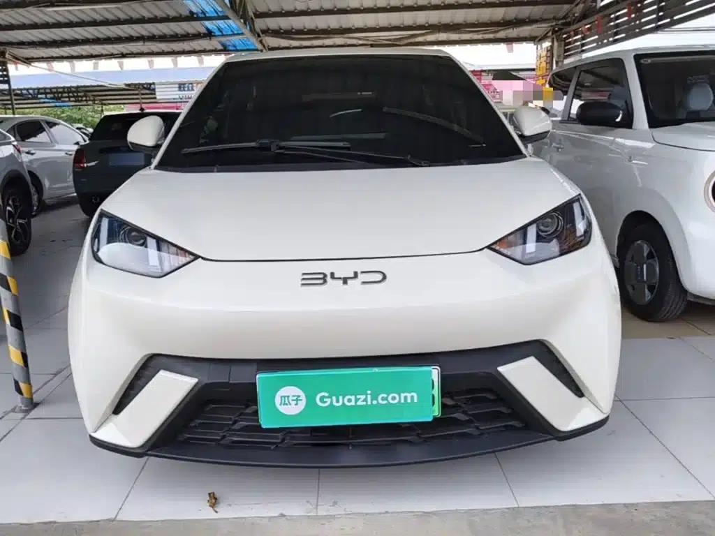 Seagull 2025 305km/h Dynamic Edition — миниатюра 3