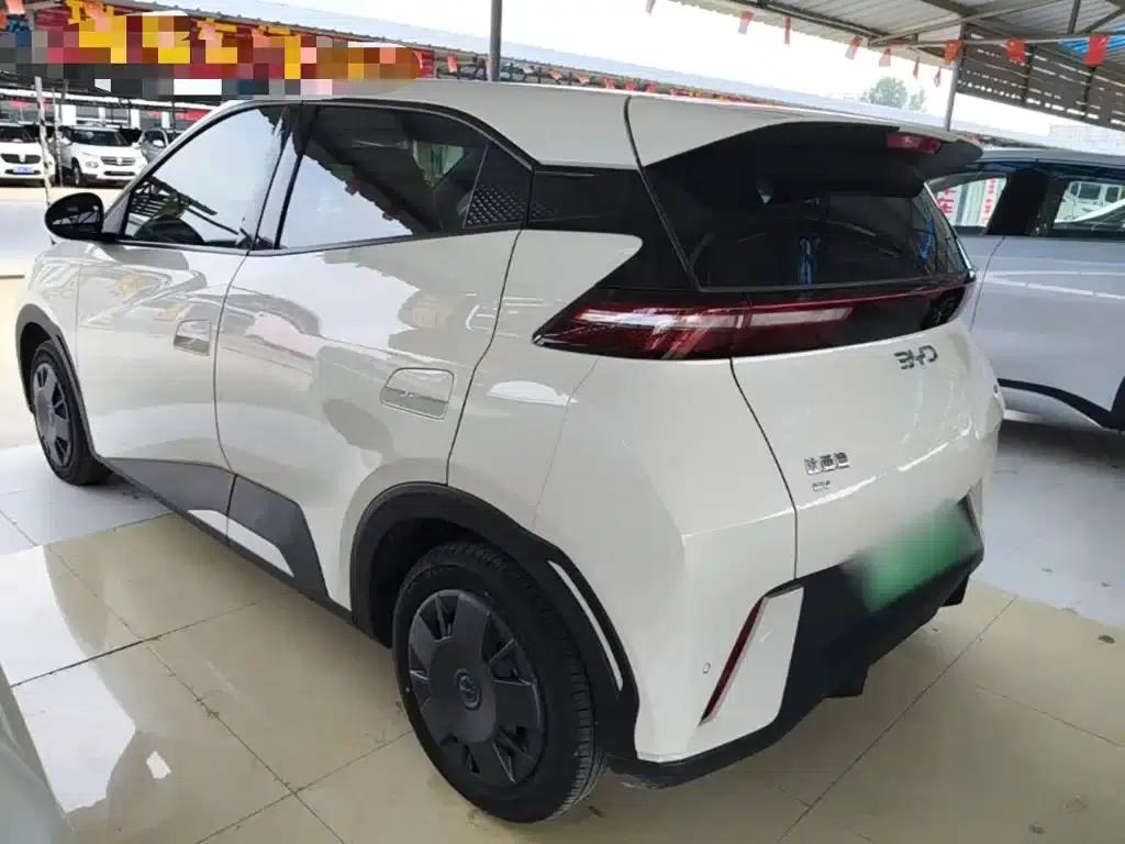 Seagull 2025 305km/h Dynamic Edition — миниатюра 5