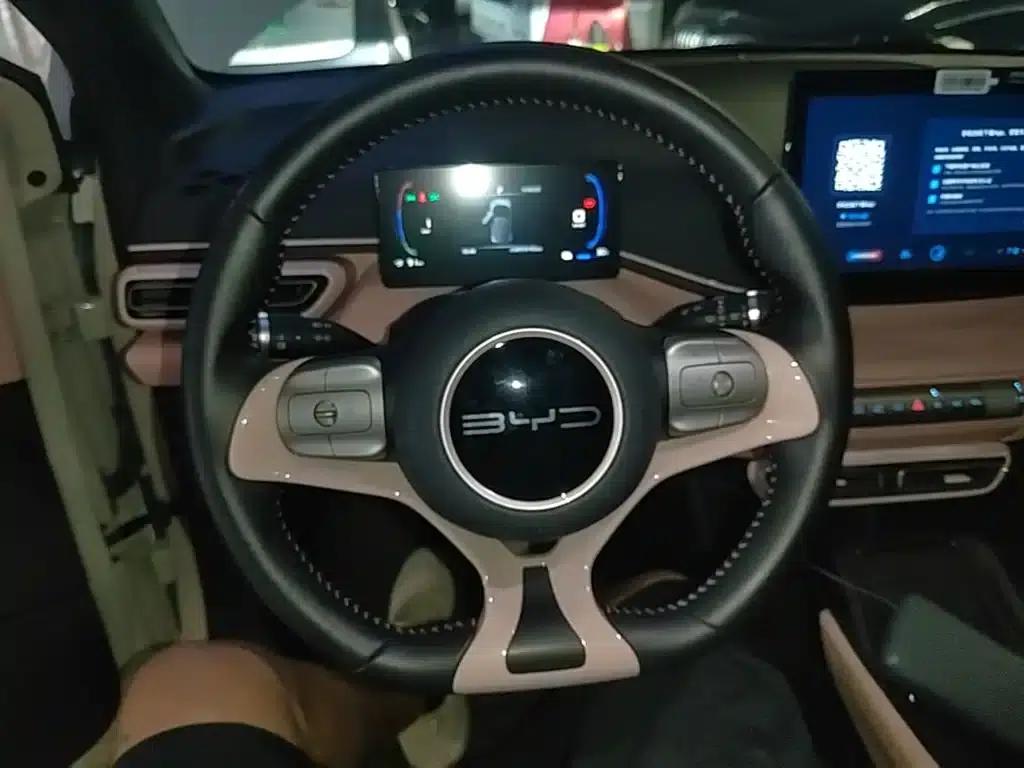 Seagull 2023 Freedom Edition — миниатюра 11