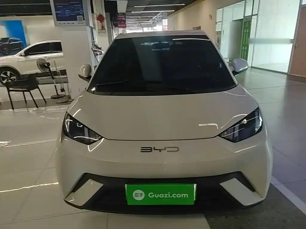 Seagull 2023 Freedom Edition — миниатюра 3