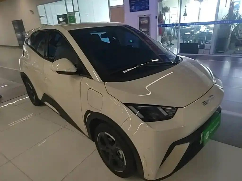 Seagull 2023 Freedom Edition — миниатюра 4