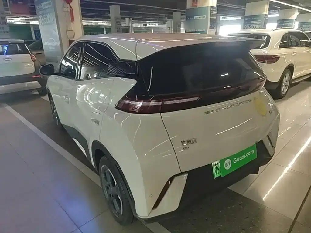 Seagull 2023 Freedom Edition — миниатюра 5