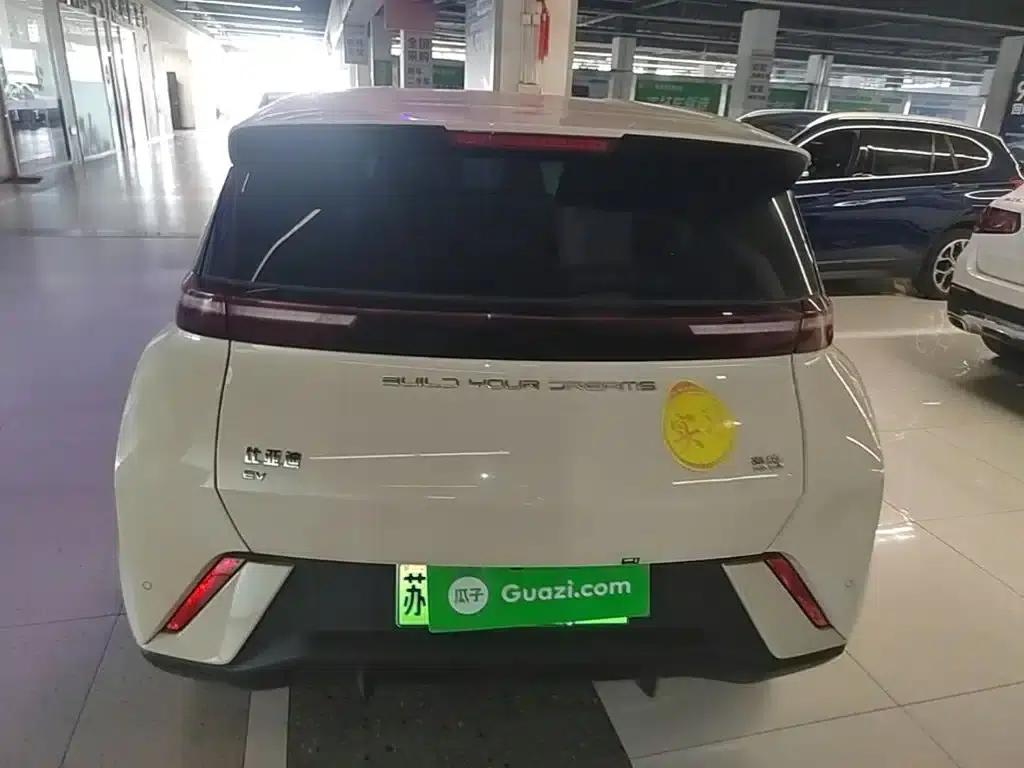 Seagull 2023 Freedom Edition — миниатюра 6
