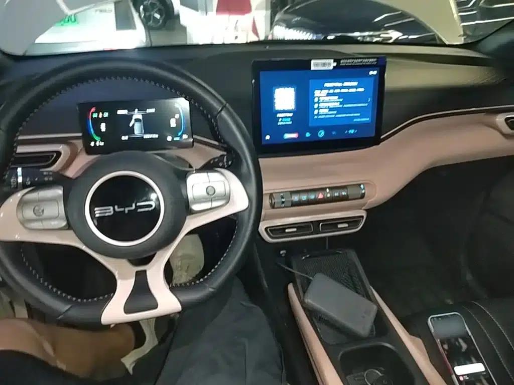 Seagull 2023 Freedom Edition — миниатюра 10