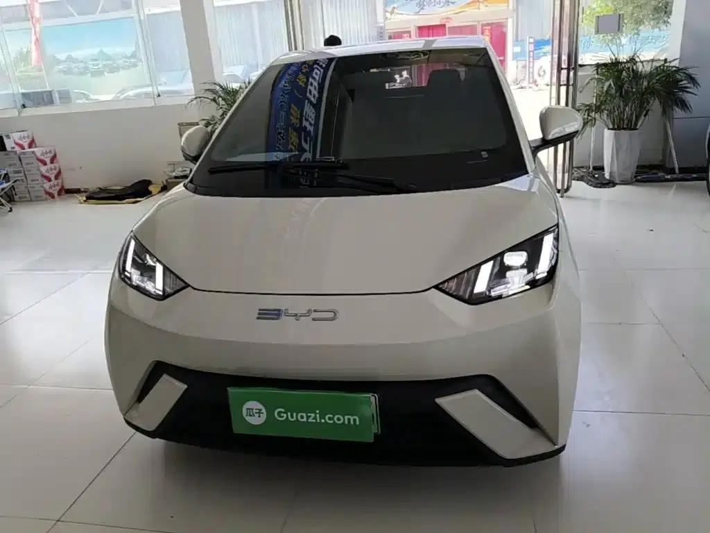 Seagull 2023 Freedom Edition — миниатюра 3