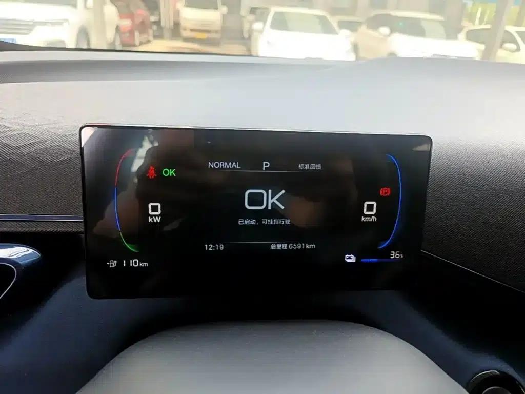 Seagull 2024 Glory Edition 305km/h Vitality Edition — миниатюра 12