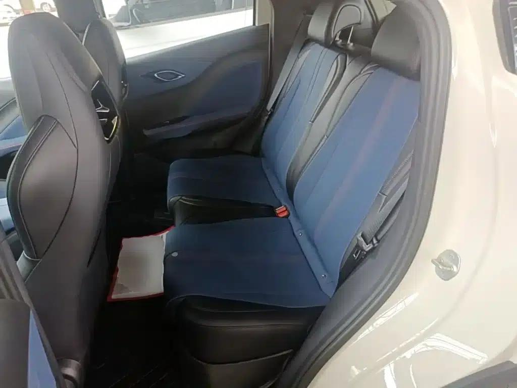 Seagull 2024 Glory Edition 305km/h Vitality Edition — миниатюра 17