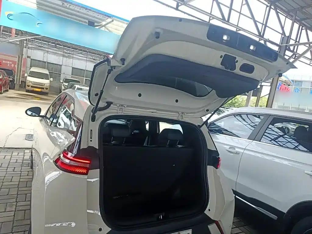 Seagull 2024 Glory Edition 305km/h Vitality Edition — миниатюра 19