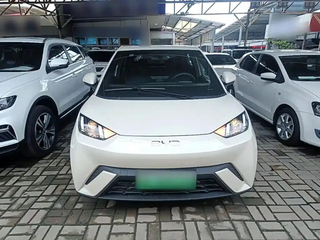 Seagull 2024 Glory Edition 305km/h Vitality Edition — миниатюра 3