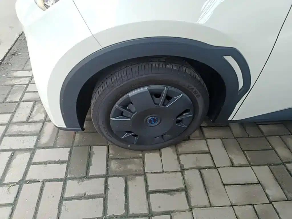 Seagull 2024 Glory Edition 305km/h Vitality Edition — миниатюра 23