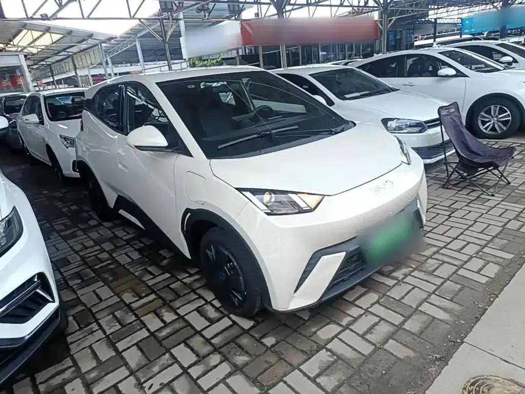 Seagull 2024 Glory Edition 305km/h Vitality Edition — миниатюра 4