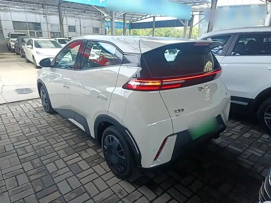 Seagull 2024 Glory Edition 305km/h Vitality Edition — миниатюра 5