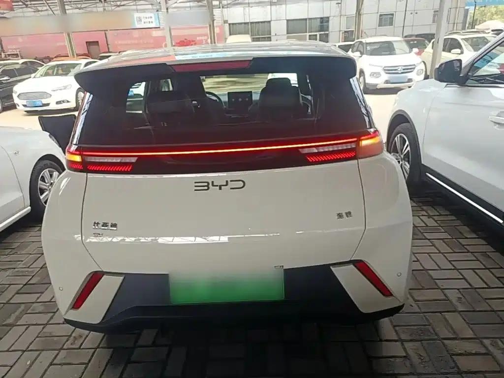 Seagull 2024 Glory Edition 305km/h Vitality Edition — миниатюра 6