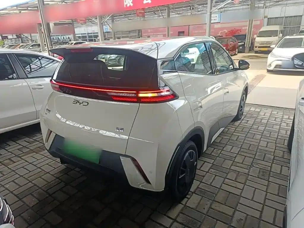 Seagull 2024 Glory Edition 305km/h Vitality Edition — миниатюра 7