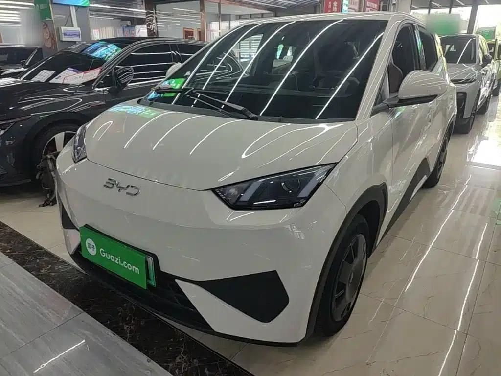 Seagull 2025 Smart Driving Edition 305km Vitality Edition — миниатюра 1