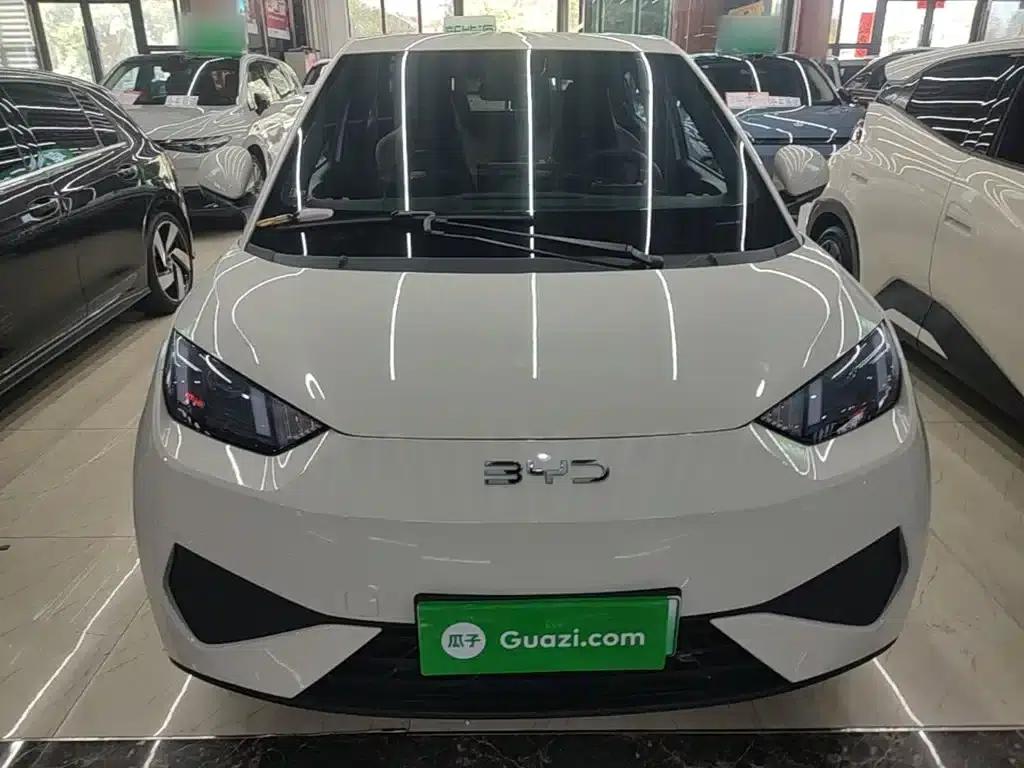 Seagull 2025 Smart Driving Edition 305km Vitality Edition — миниатюра 3