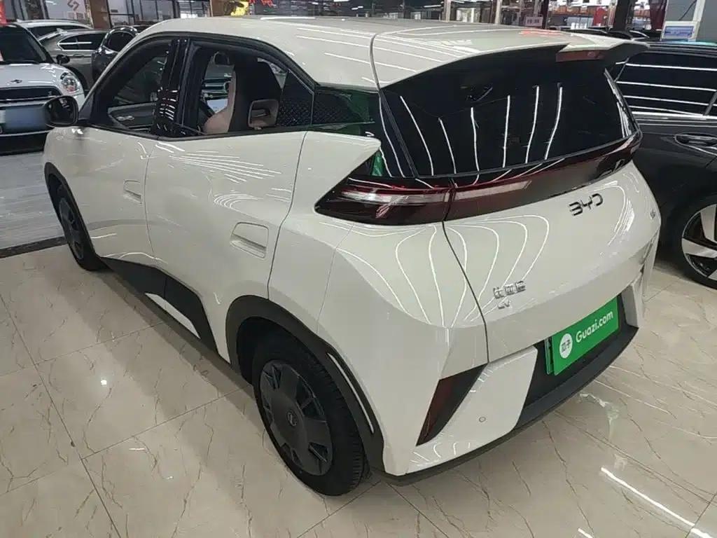 Seagull 2025 Smart Driving Edition 305km Vitality Edition — миниатюра 5