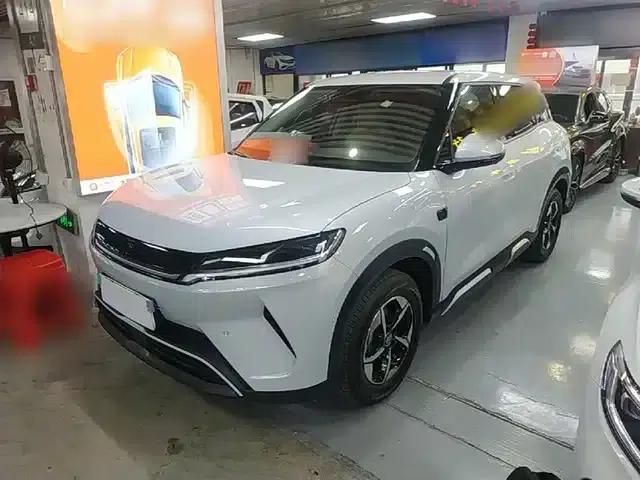 Yuan UP 2025 Smart Driving Edition 401KM Vitality Edition