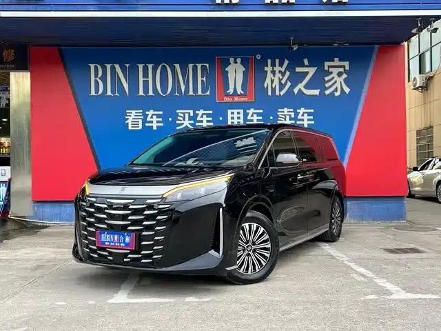 Summer 2025 DM-i 1.5T 180km Excellent Edition