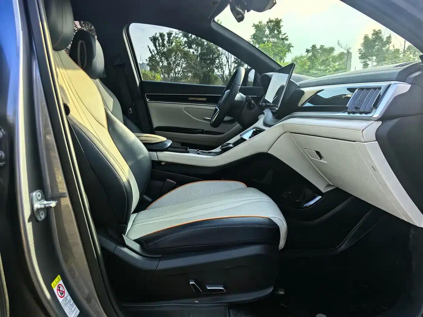 Song PLUS New Energy 2021 DM-i 110KM Flagship PLUS — миниатюра 6