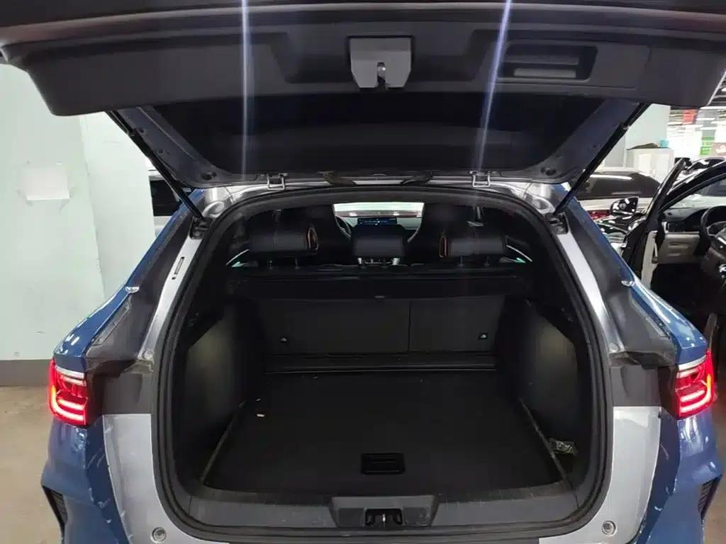 Song PLUS New Energy 2021 EV Premium Edition — миниатюра 19