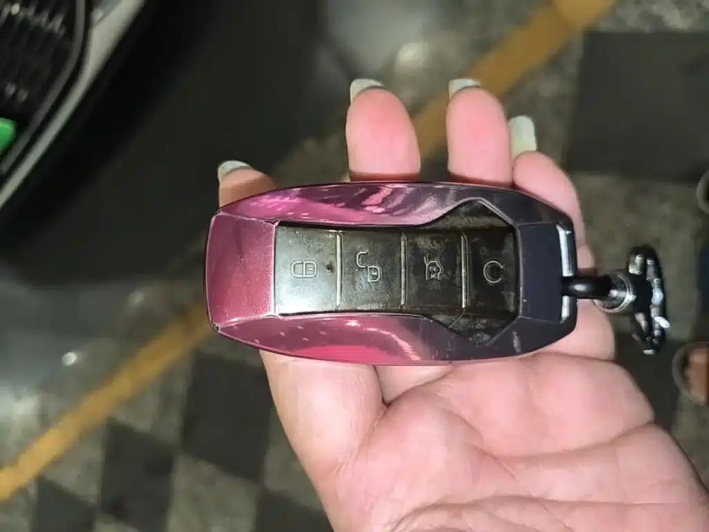 Song PLUS New Energy 2021 DM-i 110KM Flagship PLUS — миниатюра 9