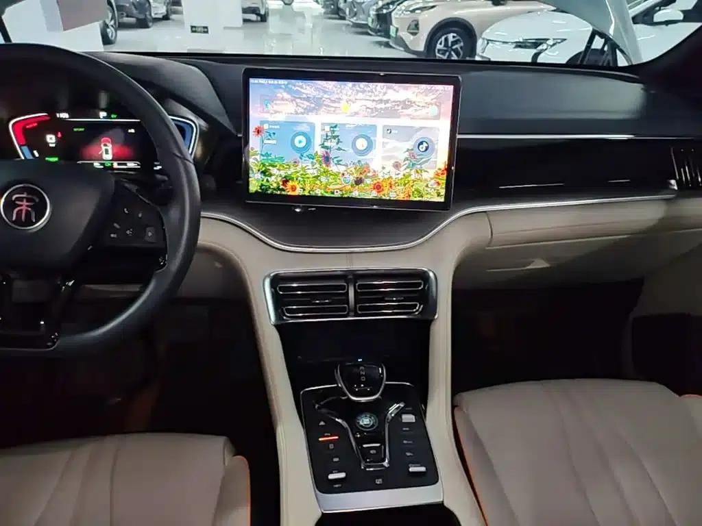 Song PLUS New Energy 2021 DM-i 110KM Flagship Edition — миниатюра 13