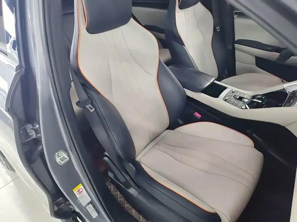 Song PLUS New Energy 2021 DM-i 110KM Flagship Edition — миниатюра 25