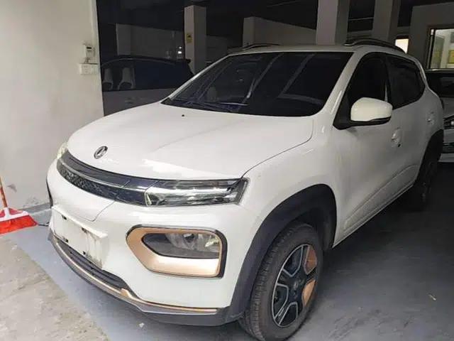 Dongfeng NAMMI EX1 2023 PRO Light Wind Edition Standard Model