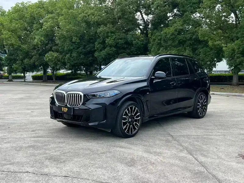 2023 BMW X5 xDrive40Li M Sport Shadow Edition — миниатюра 1