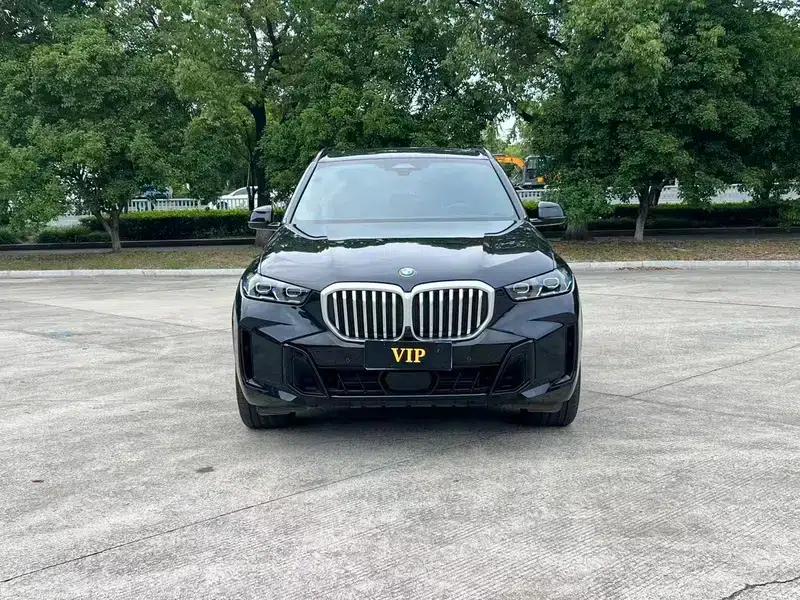 2023 BMW X5 xDrive40Li M Sport Shadow Edition — миниатюра 2